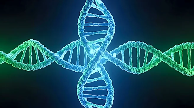 J. Craig Venter, Pioneer in Human Genome Sequencing, Dies at 79 in San Diego
