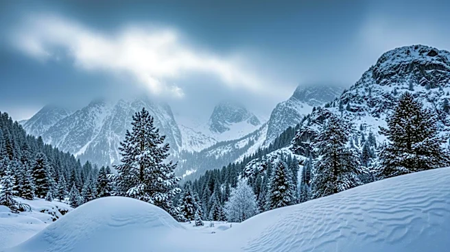 Northern Colorado Experiences Snowfall as Storm Moves In