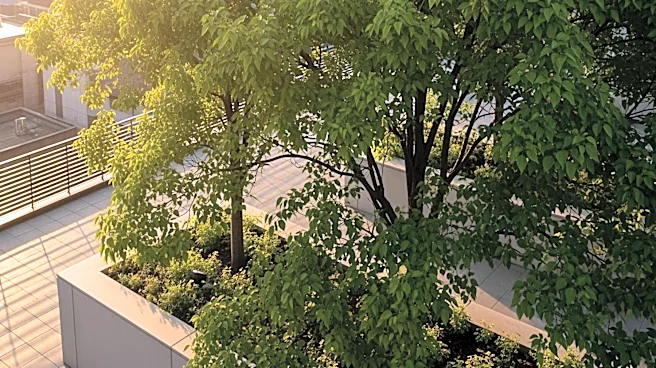 Study Finds Urban Trees Significantly Reduce Heat Island Effect, But Benefits Are Unequally Distributed