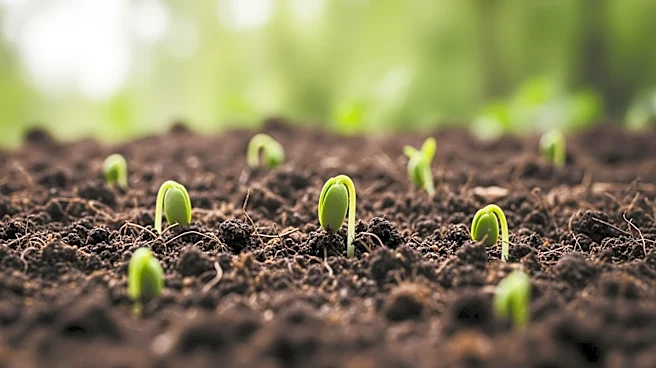 Human Composting Gains Legal Ground in the U.S., Offering Eco-Friendly Burial Alternative