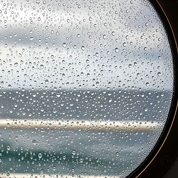 Americans Monitored for Hantavirus After Cruise Ship Outbreak