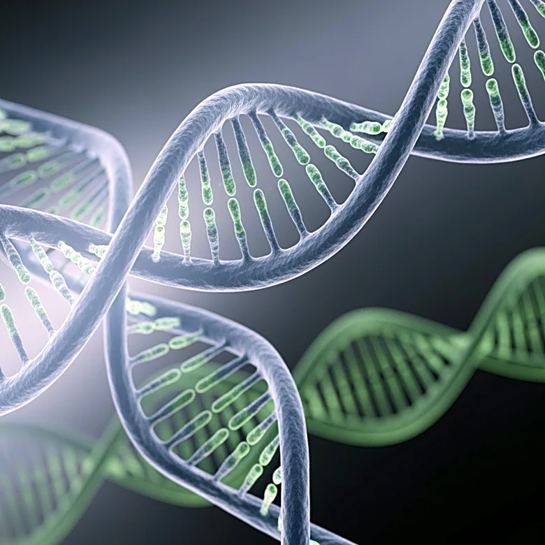 Study Explores Dual Role of Host LncRNAs in Viral Infections