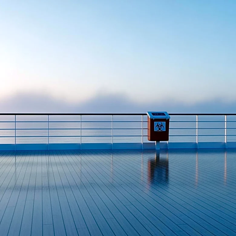 WHO Assesses Hantavirus Outbreak on Cruise Ship as Low Global Risk