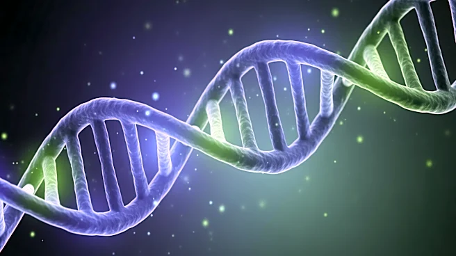 Study Explores RNA Polymerase II Transcription Initiation Without XPB Translocase Activity