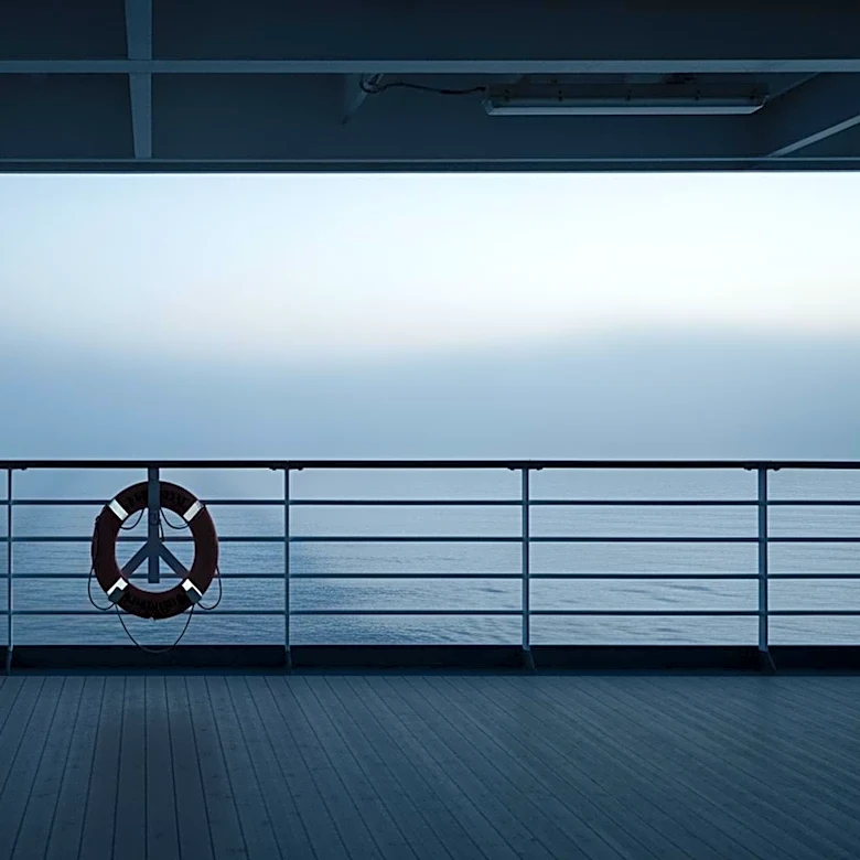 Hantavirus Outbreak on Cruise Ship Prompts Monitoring of U.S. Residents