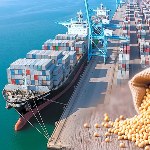 South Korea's FLC Purchases 50,000 Tons of Soymeal, Potentially from U.S.
