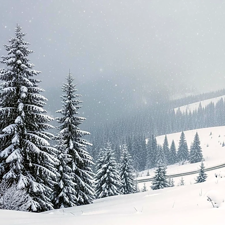 Colorado Hit by Largest May Snowstorm in 23 Years, Disrupting Travel
