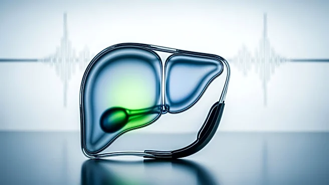 Advancements in Non-Invasive Tests for Liver Disease Diagnosis