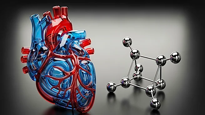 Study Reveals Cardiovascular and Metabolic Diseases as Key Factors in Shorter U.S. Lifespans