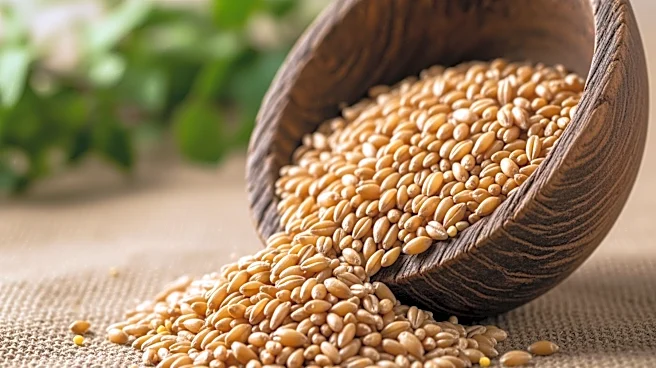 Nigerian Agriculture Stakeholders Call for Reforms Amid Food Security Crisis