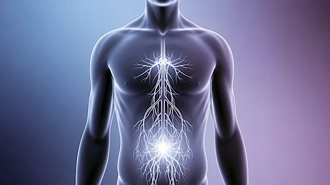 Study Reveals Abdominal Exercises May Enhance Brain Health Similar to Sleep