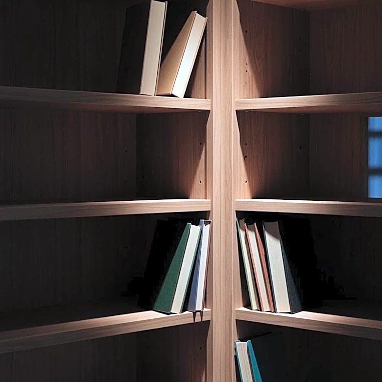 Rising Book Bans in U.S. Schools and Libraries Spark Concerns Over Censorship