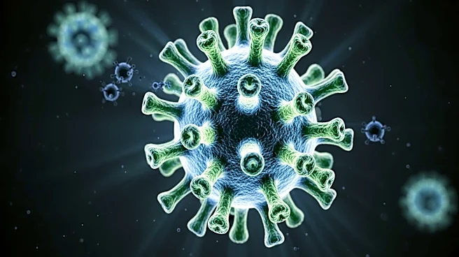 Hantavirus Outbreak Raises Concerns Over U.S. Health Preparedness