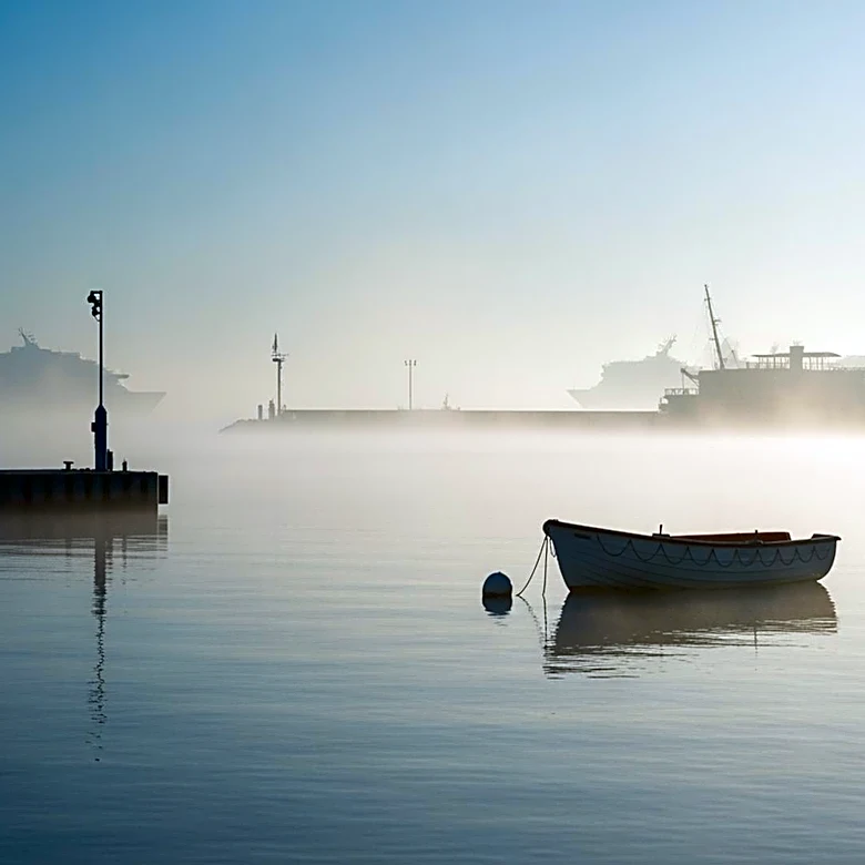 WHO Director-General Reassures Spanish Island Amid Hantavirus Cruise Ship Evacuation
