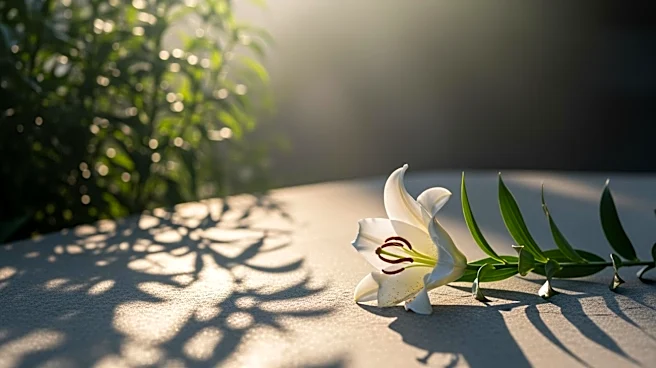 Shirley Ann Self Remembered in Obituary at Memorial Park Funeral Homes