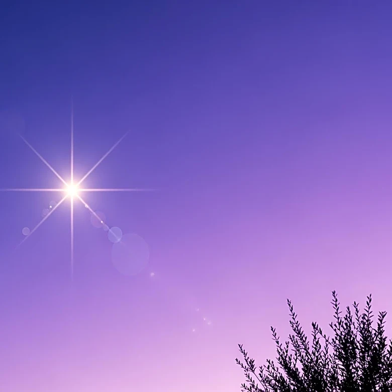 Venus Shines as 'Evening Star' in May, Offering a Celestial Display