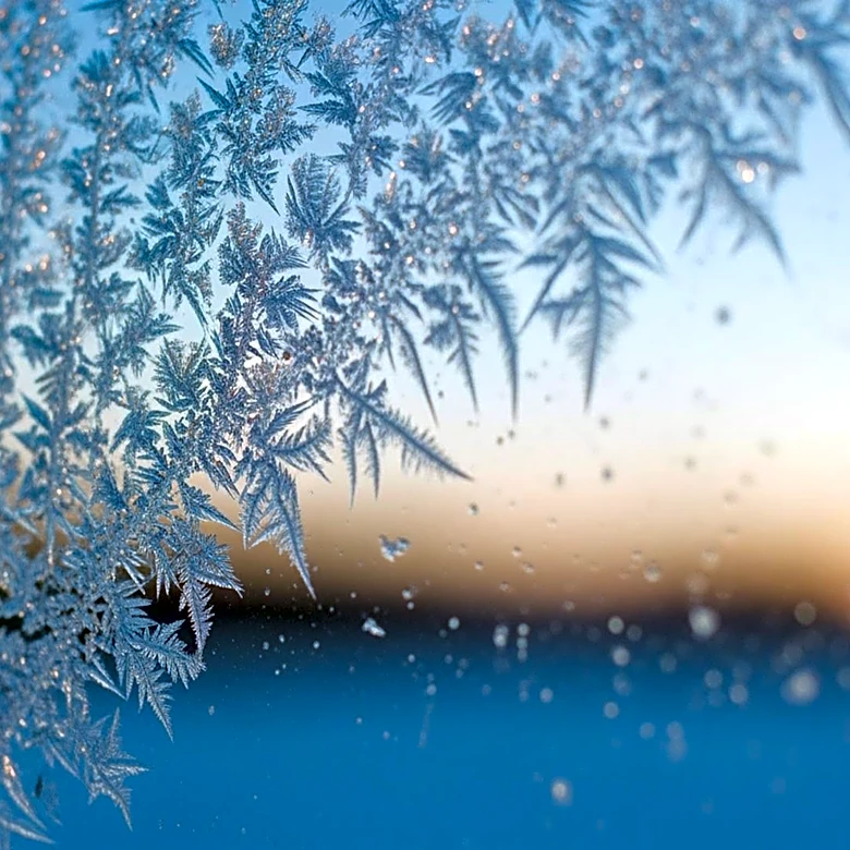 Minnesota Weather Forecast Predicts Frosty Night Followed by Warmer Temperatures