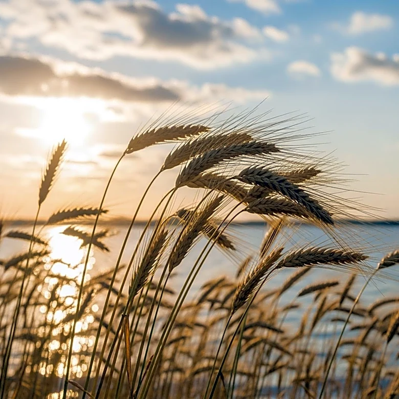 Minnesota Weather Update: Breezy Conditions and Upcoming Warm Up