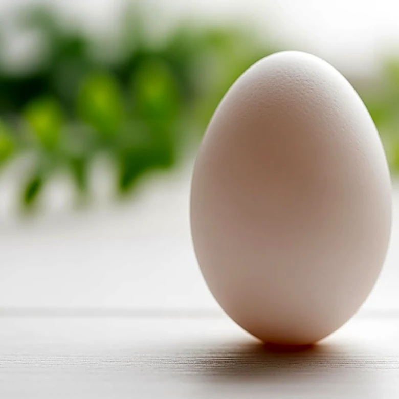 Study Links Egg Consumption to Reduced Alzheimer's Risk in Older Adults