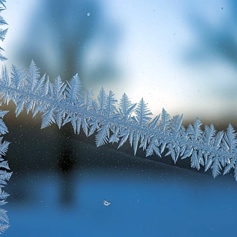 Frost Advisory Issued as Below-Average Temperatures Expected in Michigan