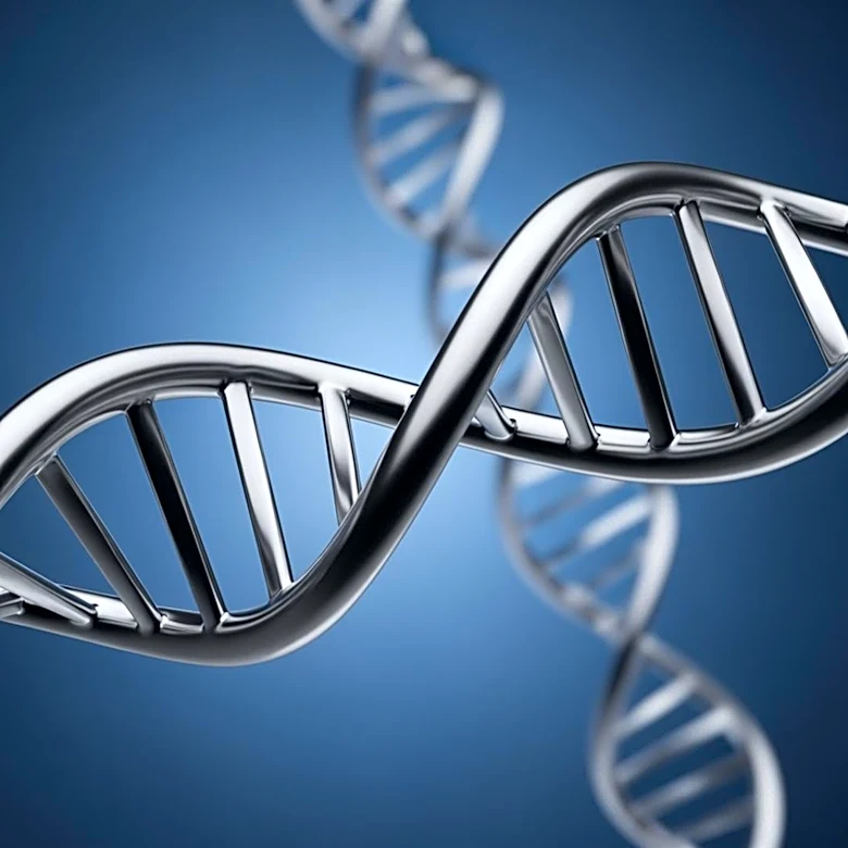 Debate Over Y Chromosome's Future Continues Among Scientists
