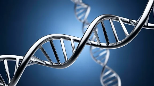 Debate Over Y Chromosome's Future Continues Among Scientists