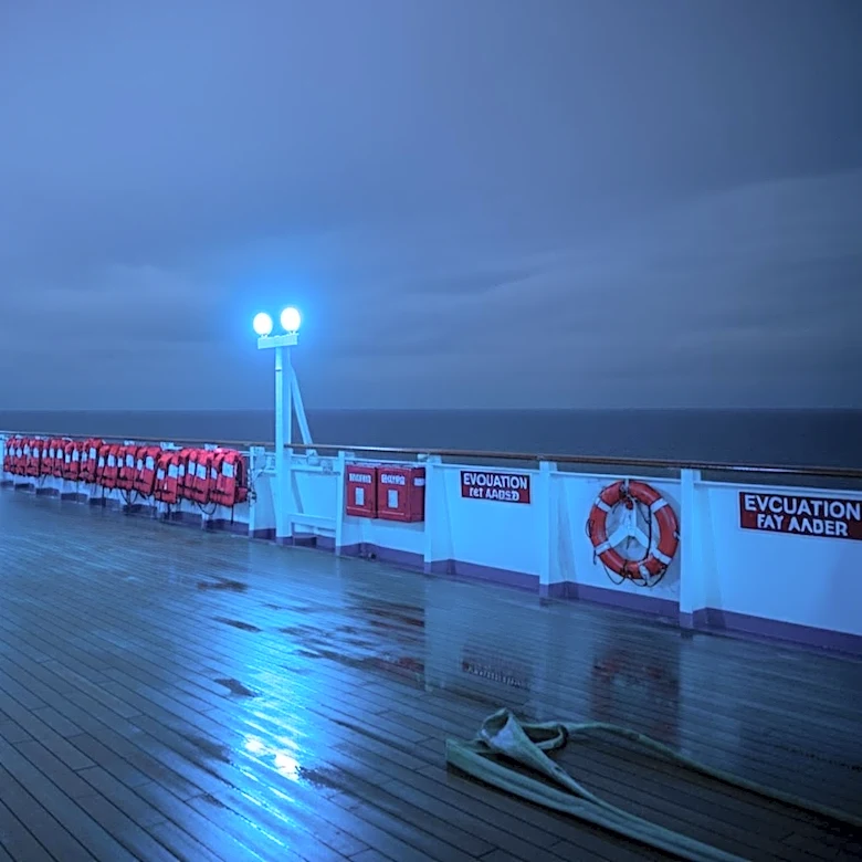 Cruise Ship Evacuation Leads to Hantavirus Cases Among French and American Passengers