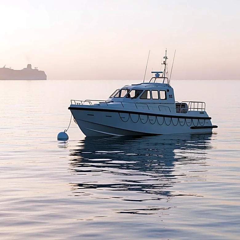 Americans Evacuated from Hantavirus-Affected Cruise Ship for Quarantine