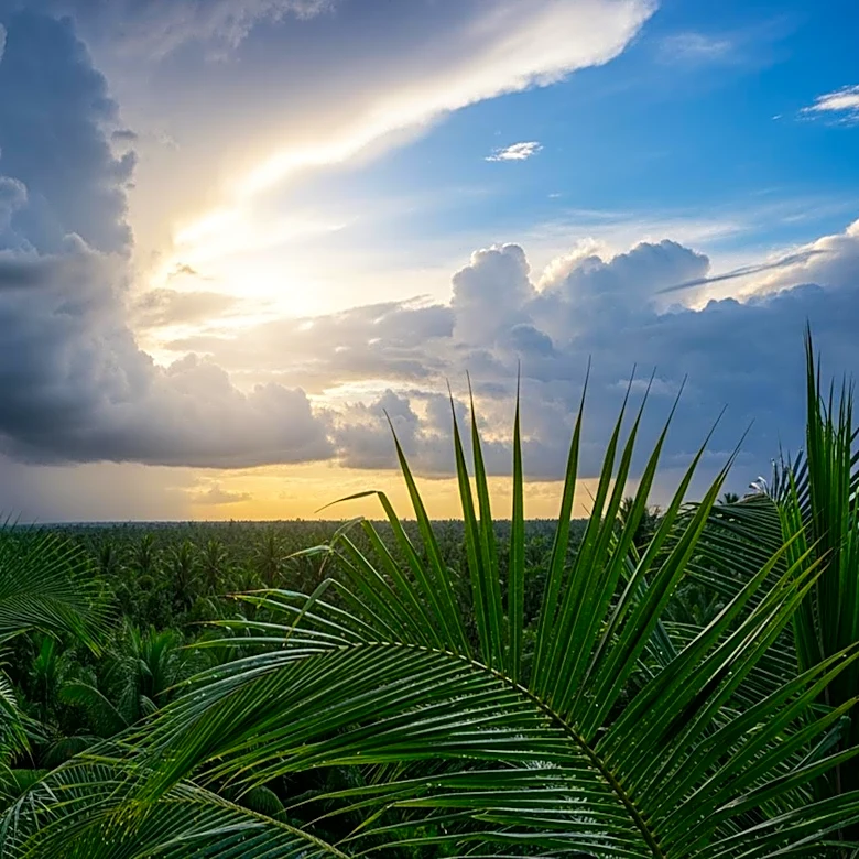 South Florida Prepares for Increased Showers and Thunderstorms Amid Dry Spell
