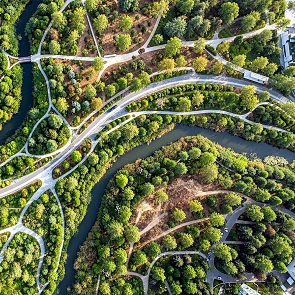 Urban Ecological Network Planning Must Address Ecosystem Disservices