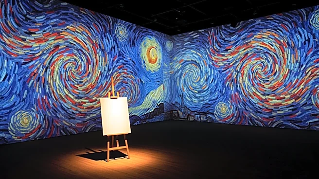 Van Gogh Immersive Experience in Denver Highlights Mental Health Struggles