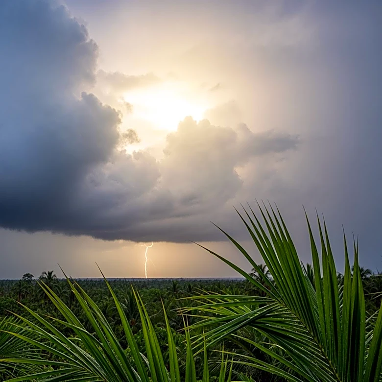 South Florida Braces for Increased Showers and Thunderstorms Amid Dry Spell