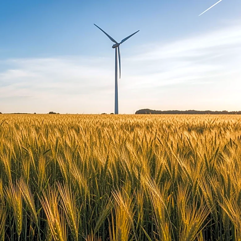 Ted Turner's Legacy in Agriculture and Renewable Energy