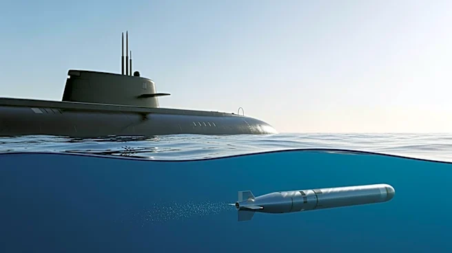 Taiwan's Indigenous Submarine Hai Kun Conducts Successful Torpedo Test