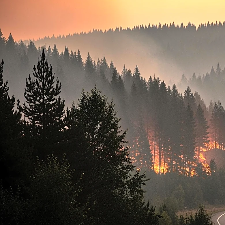 Wildfire Near Carter Lake Prompts Mandatory Evacuations in Colorado