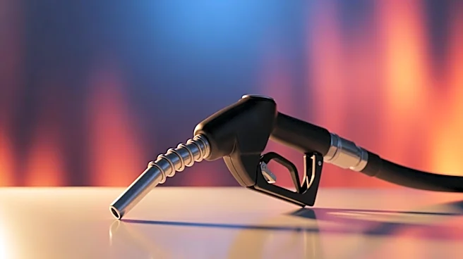 President Trump Proposes Suspension of Federal Gas Tax Amid Energy Crisis