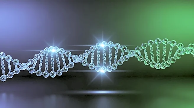 Hokkaido University and BostonGene Collaborate to Enhance Precision Oncology in Japan