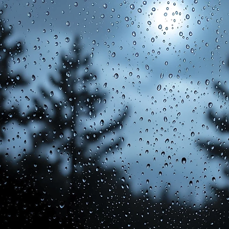 Minnesota Weather Forecast Predicts Isolated Showers Overnight
