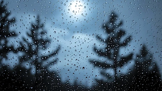 Minnesota Weather Forecast Predicts Isolated Showers Overnight