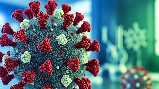 Rockefeller University Researchers Uncover HIV-1 Resistance Mechanisms to Broadly Neutralizing Antibodies