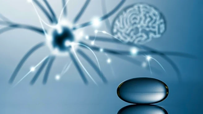 New Study Suggests Fish Oil May Hinder Brain Recovery Post-Concussion