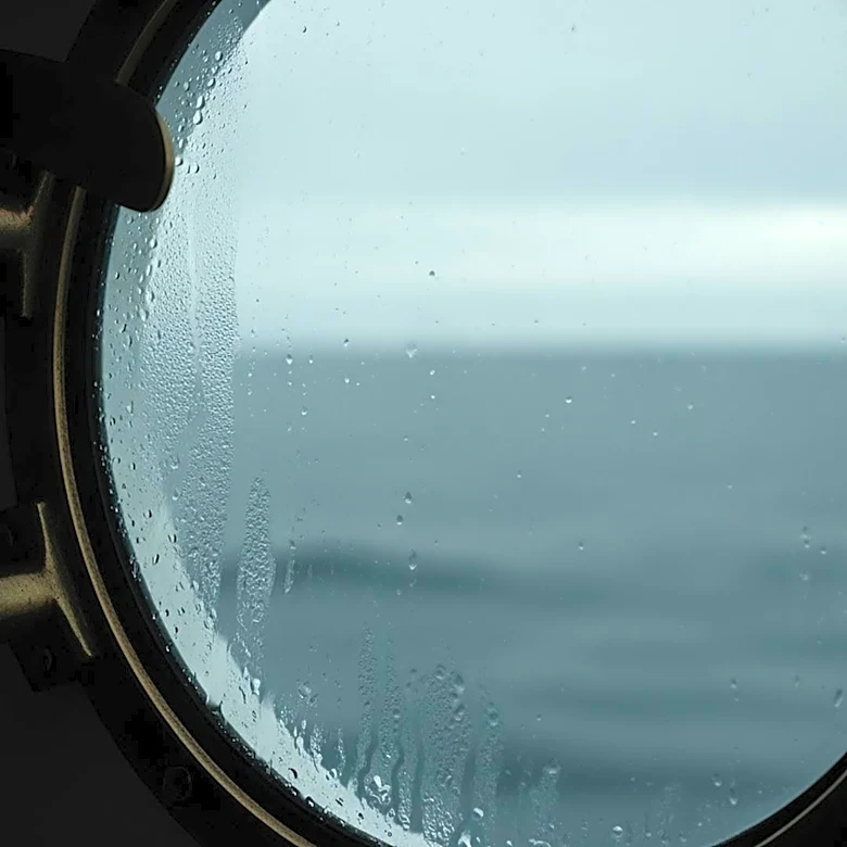 Three New Yorkers Undergo Monitoring After Hantavirus Exposure on Cruise Ship