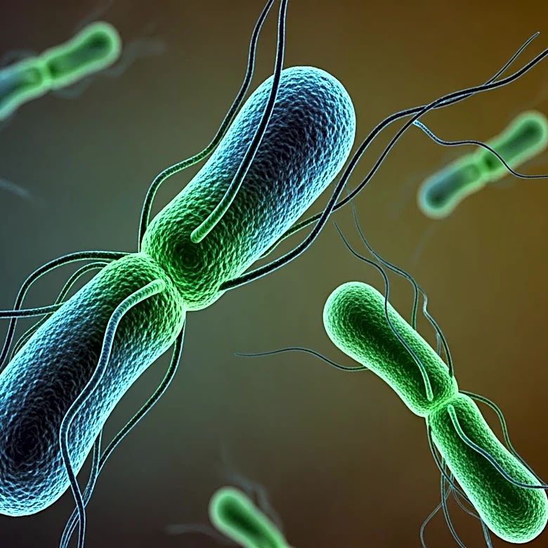 Researchers Discover Ancient Bacterial Toolkit Linking Human Gut Health to Ocean Carbon Cycling