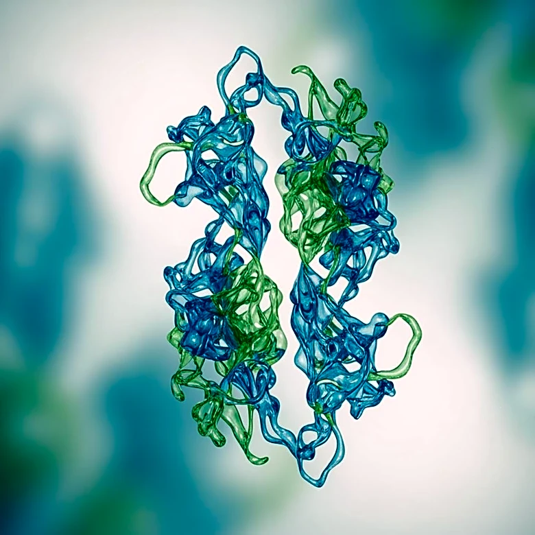 University of Pennsylvania Researchers Identify Protein Target to Slow Parkinson's Disease Progression