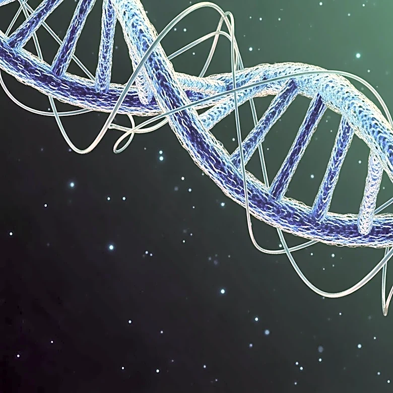 Non-Coding Gene PTCHD1-AS Linked to Autism Traits in Males