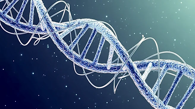 Non-Coding Gene PTCHD1-AS Linked to Autism Traits in Males
