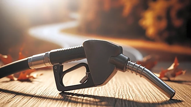 Rising Gas Prices Pose Challenges for Holiday Travelers