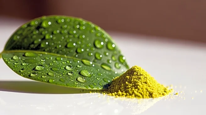 Atrazine Herbicide Faces Renewed Scientific Scrutiny Over Health Risks