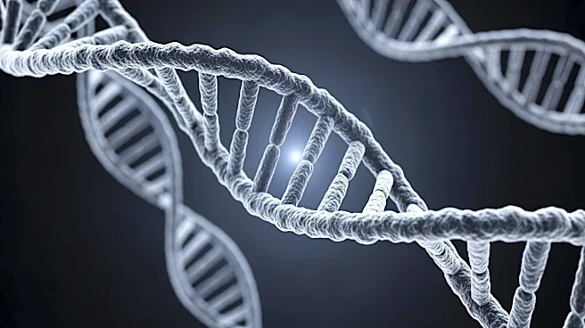 Scientists Discover Molecular Link Between Homo Erectus and Modern Humans