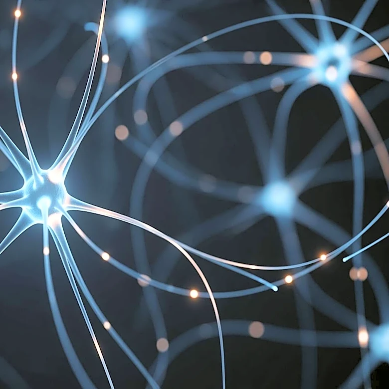 New Study Challenges Blank Slate Theory of Newborn Brain Development